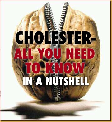 Cholester-All You Need To Know