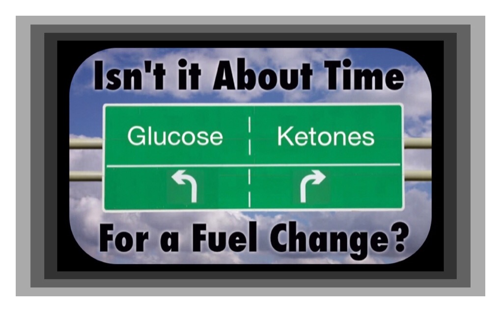 Optimizing Your Metabolism